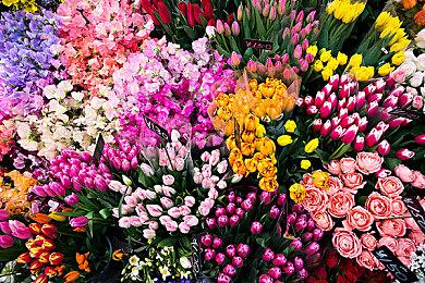 《美少女梦工厂2：重生》宣布跳票 2024年5月发售